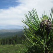 Ковязин Евгений