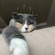 Жукова Татьяна Петровна