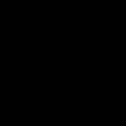 Хубраков Балдан Борисович Хубраков Балдан Борисович