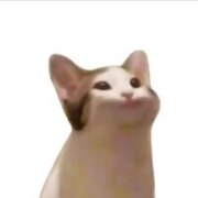 Жердев Дмитрий Олегович