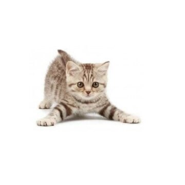 Резанова Варвара Александровна Резанова Варвара Александровна