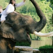 Кутов Алексей Сергеевич