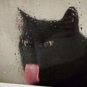 Фоминых Ева Максимовна