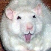 Ягуткин Никита Сергеевич