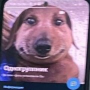 Марьин Михаил Вячеславович