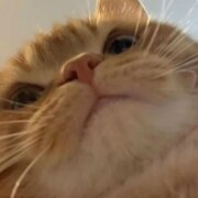 Долгова Светлана Сергеевна