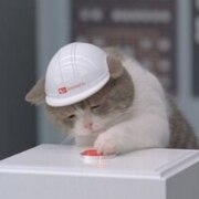 Москалева Владислава Алексеевна