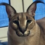 Пинаев Олег Сергеевич