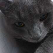 Кожемякин Иван Алексеевич