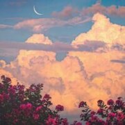 Власенко Дарья Павловна