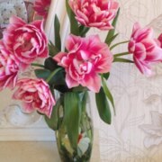 Родионова Елена