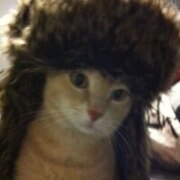 Айнуллин Руслан Наильевич Айнуллин Руслан Наильевич