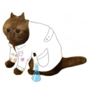 Старостин Михаил Витальевич