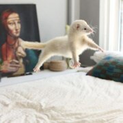 Пугачева Ольга Андреевна