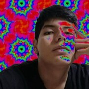 Чавез-Феррейра Марио