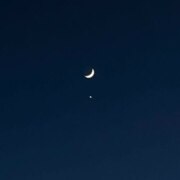 Пазова Камила Темуровна