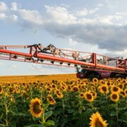 Бузыкаев Мурат Ильдарович Бузыкаев Мурат Ильдарович