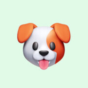 Акенфиева Алина