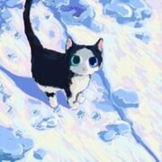 Сафонова Ангелина Игоревна Сафонова Ангелина Игоревна