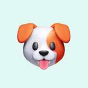 Соловьёва Александра Андреевна