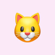 нагибин никита Андреевич