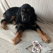 Сатлейкина Ксения Николаевна Сатлейкина Ксения Николаевна