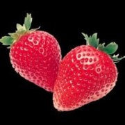 Колесникова Екатерина Романовна