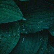 Палагина Анастасия Палагина Анастасия