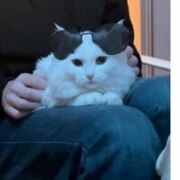 Болтова Анастасия Сергеевна Болтова Анастасия Сергеевна