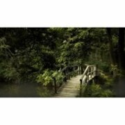 Гузинец Виктория Ивановна