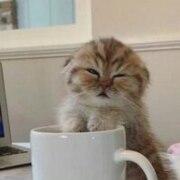 Юртайкина Дарья Николаевна Юртайкина Дарья Николаевна