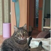 Бунтова Ульяна Евгеньевна