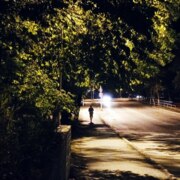Чередниченко Макс Олегович