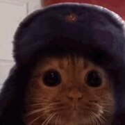 Максим Воронин