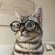 Паршухина Алина