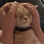 Фоминых Аня Сергеевна Фоминых Аня Сергеевна