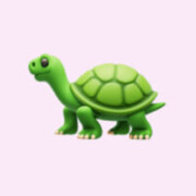 Костенецкая Анастасия Александровна