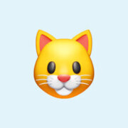 Каспшаков Артём Дмитриевич