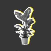 Михаилов Алексей Михаилов Алексей