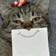 Самигуллина Карина Эльвировна Самигуллина Карина Эльвировна