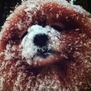 Онучина Алёна Онучина Алёна