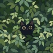 Калыгина Дарья Алексеевна