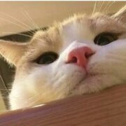 Стрельникова Мария Алексеевна Стрельникова Мария Алексеевна