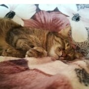 Алёна Крюкова Алексеевна