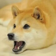 Исаев Шарип Магомедович Исаев Шарип Магомедович