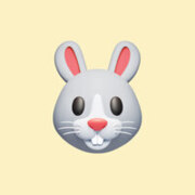 Сурдина Анна Сергеевна