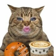 Лушникова Анна