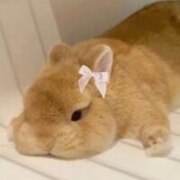 мальцева александра мальцева александра