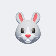 Кравченко Дарья Александровна