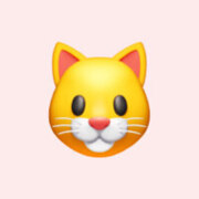 Готолова Елизавета Готолова Елизавета